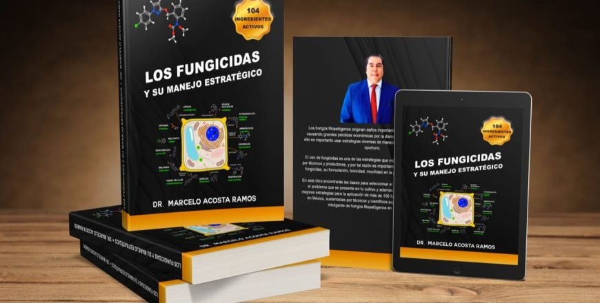 Libro y Curso IAS