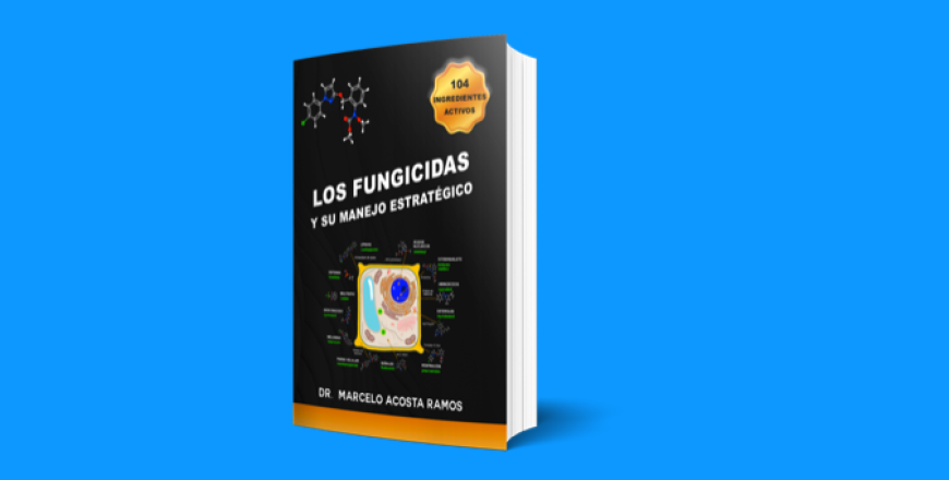 Captura de Pantalla 2021-08-11 a la(s) 20.30.40