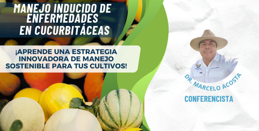 Copia de cucu3 (1).png