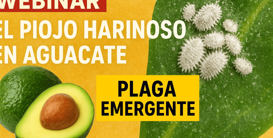 ChatGPT Image 18 ago 2025, 10_55_36 a.m. (1).png